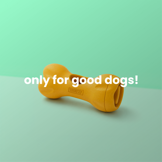 Bully Stick Holder Toy for Dogs